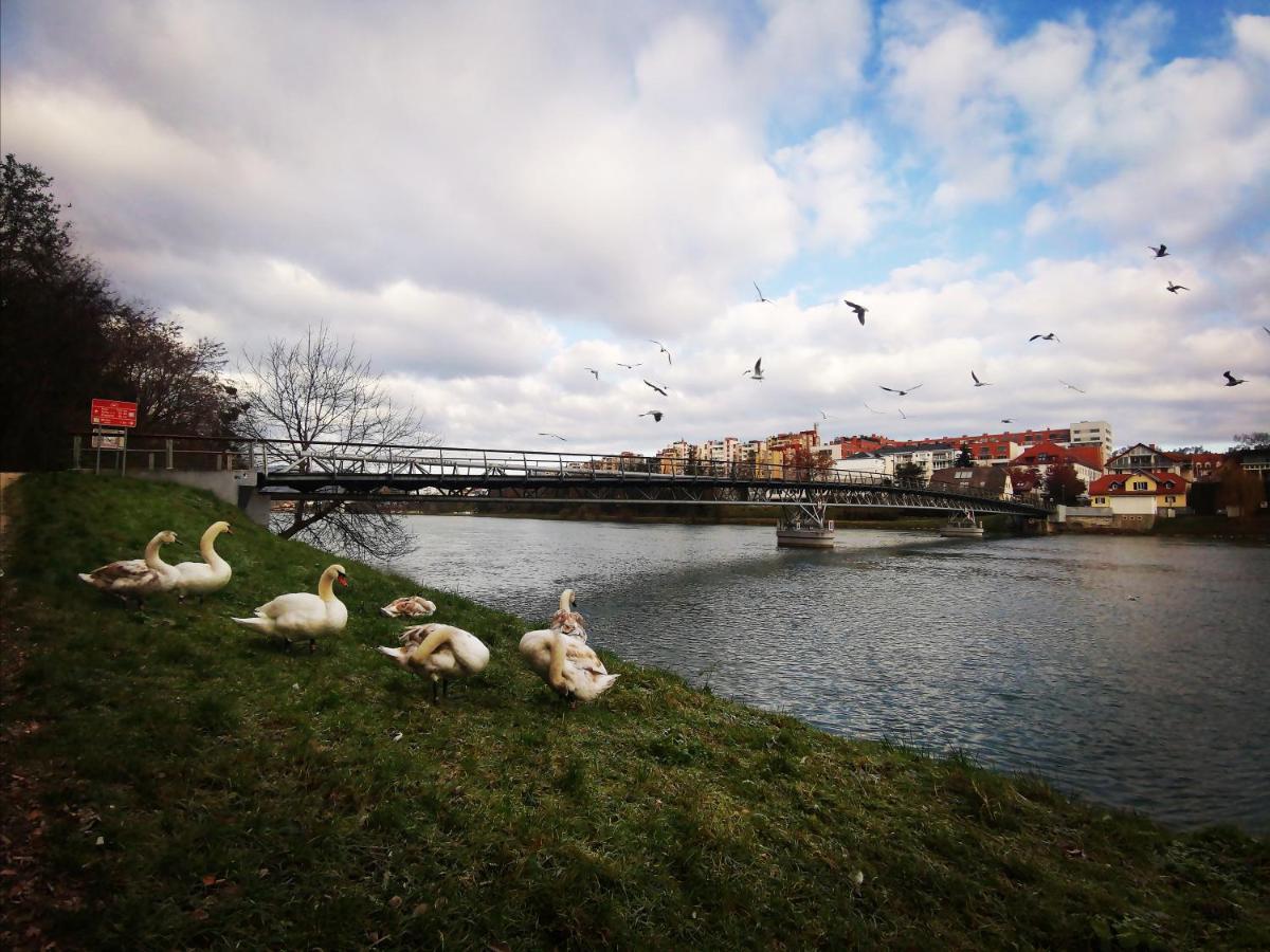 Apartment Lent Maribor Exteriör bild
